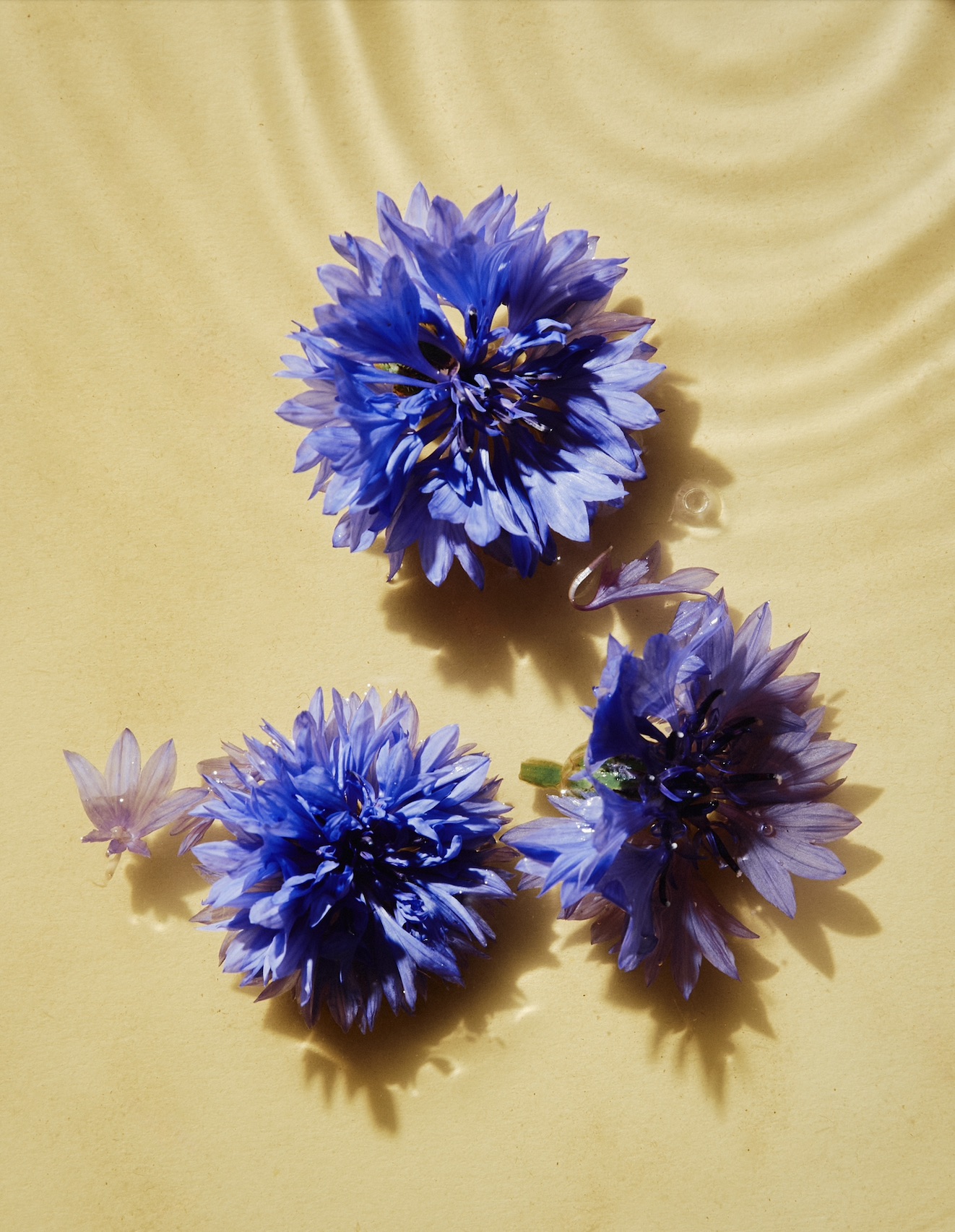 Merveilles des yeux Soin anti-cernes Soin contour des yeux